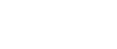 活動内容